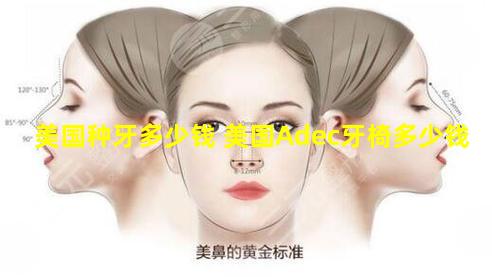 美国种牙多少钱 美国Adec牙椅多少钱